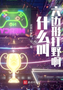 什么叫六边形打野啊小说笔趣阁