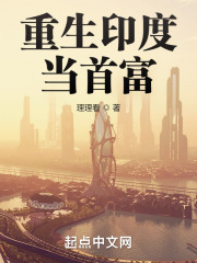 重生印度当首富TXT下载