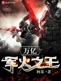 万亿军火之王TXT下载