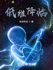 低维降临小说免费阅读
