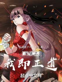 斗破之我即正道主要内容