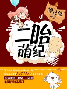 二胎萌纪 小说