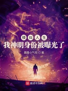 模拟人生:我神明身份被曝光了作者:暴躁小气包