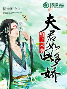 娘子来袭:夫君如此多娇