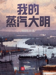我的蒸汽大明小说