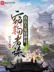 我在大夏窃神权TXT下载