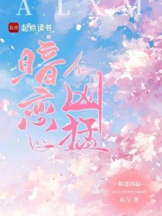 暗恋v文