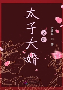 太子大婚之后