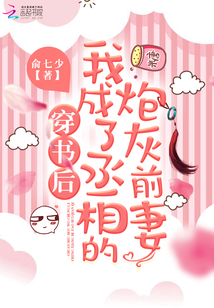 穿书后我成了丞相的炮灰前妻百度云