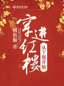 红楼发家致富史女主