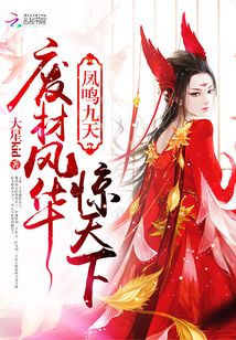 凤鸣九天小说阅读