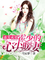 盛爱成婚:霍少的心尖暖妻