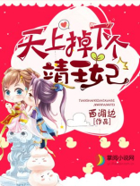 天上掉下个靖王妃小说全文免费阅读