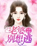 天价婚宠：老婆别想逃