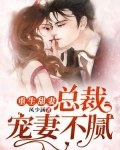 重生甜妻:总裁宠妻不腻