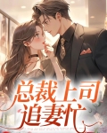 总裁上司追妻忙