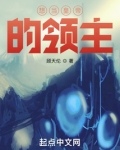 想当皇帝的领主