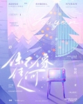 你不像任何人