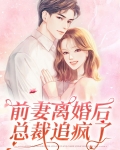 前妻离婚后总裁追疯了