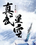 真武星空