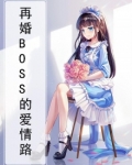 再婚BOSS的爱情路