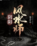 阴阳风水师