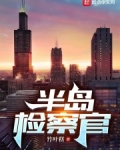 半岛检察官