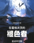 在霍格沃茨的褪色者