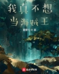 我真不想当海贼王