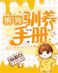 狼狗驯养手册