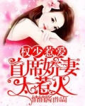 权少惹爱:首席娇妻太惹火