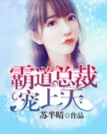 霸道总裁宠上天