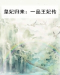 皇妃归来:一品王妃传