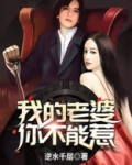我的老婆你不能惹