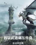 巫师:我以武道碾压传奇
