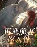 再遇前妻疼入骨