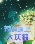 辣妈遇上大灰狼