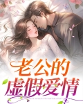 老公的虚假爱情