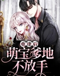 重逢后萌宝爹地不放手