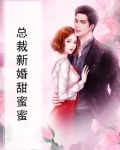 总裁新婚甜蜜蜜