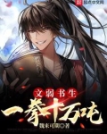 文弱书生一拳十万吨