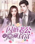 闪婚老公是隐藏首富