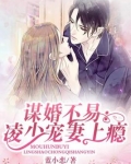 谋婚不易:凌少宠妻上瘾