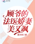 顾爷的法医娇妻美又飒