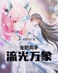 全职高手：流光万象