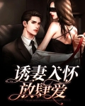 诱妻入怀放肆爱