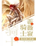 骑士蔷薇寂