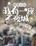囤货百亿:我有一座不夜城