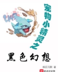 精灵之黑色幻想