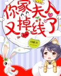 大神,你家夫人又掉线了